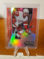 2019-20 Upper Deck Synergy Rookies Red Rainbow Taro Hirose #44 Red Wings
